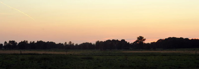 Abendstimmung in Schplitz - 4.September 2012, Foto: Beate Langels, Trakehner Gestt Hmelschenburg