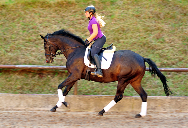 Valentine - Trakehner Stutfohlen von High Motion u.d. Elitestute Vicenza v. Showmaster - Foto: Beate Langels - Trakehner Gestt Hmelschenburg