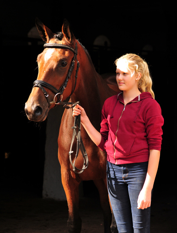 Prmienstuten  Karida - Foto: Beate Langels -
Trakehner Gestt Hmelschenburg