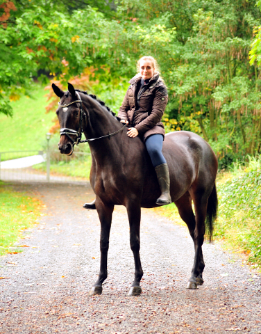 Valentine - Trakehner Stute von High Motion u.d. Elitestute Vicenza v. Showmaster - Foto: Beate Langels - Trakehner Gestt Hmelschenburg