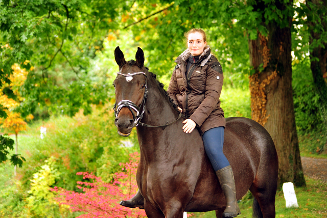 Valentine - Trakehner Stute von High Motion u.d. Elitestute Vicenza v. Showmaster - Foto: Beate Langels - Trakehner Gestt Hmelschenburg