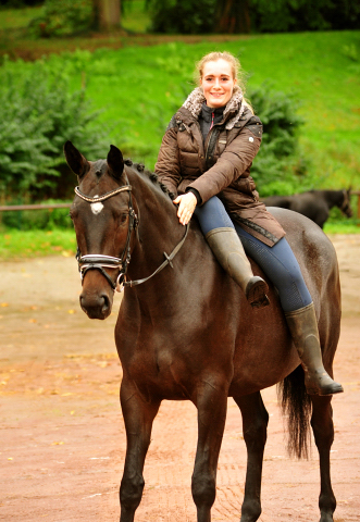 Valentine - Trakehner Stute von High Motion u.d. Elitestute Vicenza v. Showmaster - Foto: Beate Langels - Trakehner Gestt Hmelschenburg