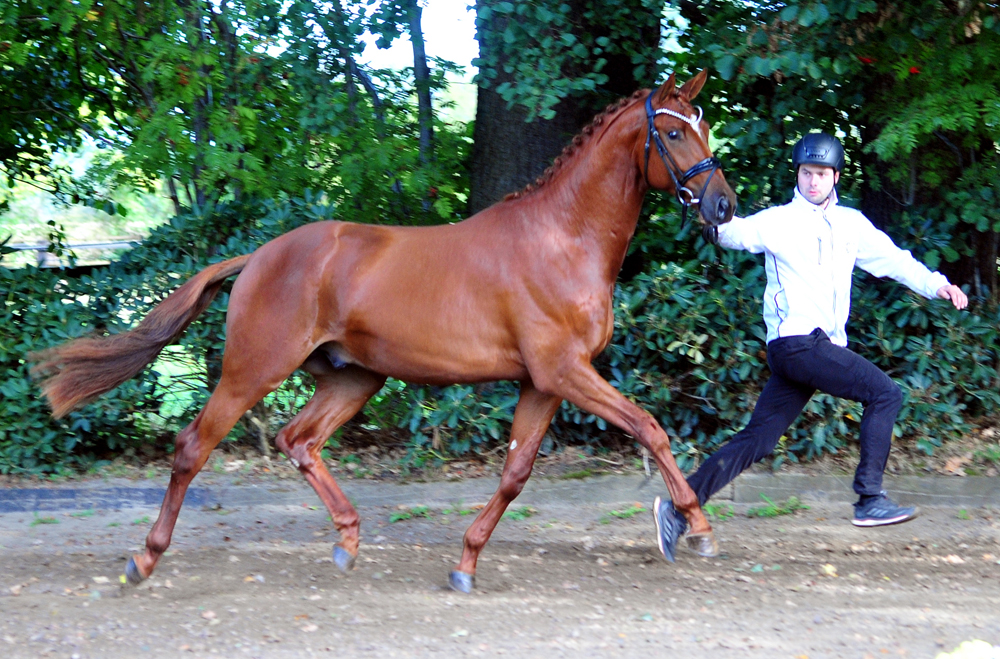 Verhoeven v. Schpitzer u.d. Pr.A. Valentine v. High Motion - Foto: Beate Langels
