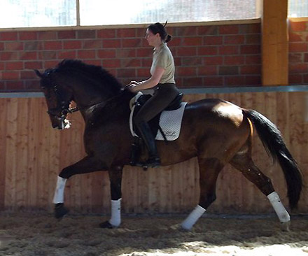 Karas und Leah im Frhjahr 2011 - Foto: Hr. Khne