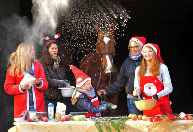 Kacyro in der Hmelschenburger Weihnachtsbckerei  - Beate Langels Gestt Hmelschenburg