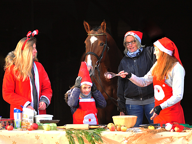 Kacyro in der Hmelschenburger Weihnachtsbckerei  - Beate Langels Gestt Hmelschenburg