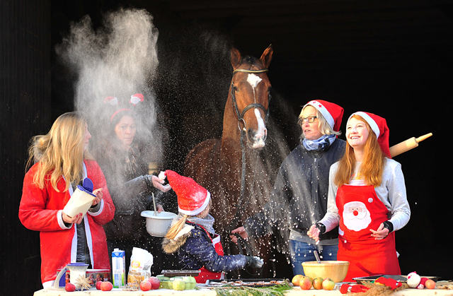 Kacyro in der Hmelschenburger Weihnachtsbckerei  - Beate Langels Gestt Hmelschenburg