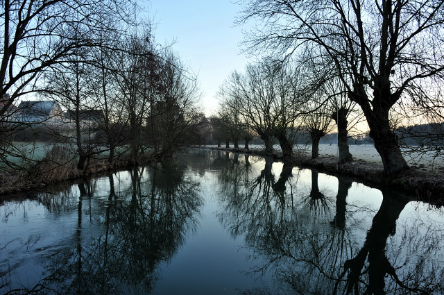 Trakehner Gestt Hmelschenburg