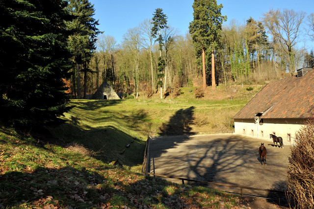 Trakehner Gestt Hmelschenburg