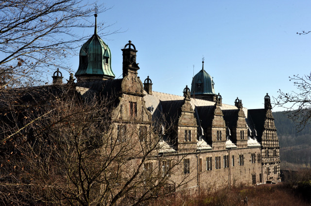 Trakehner Gestt Hmelschenburg