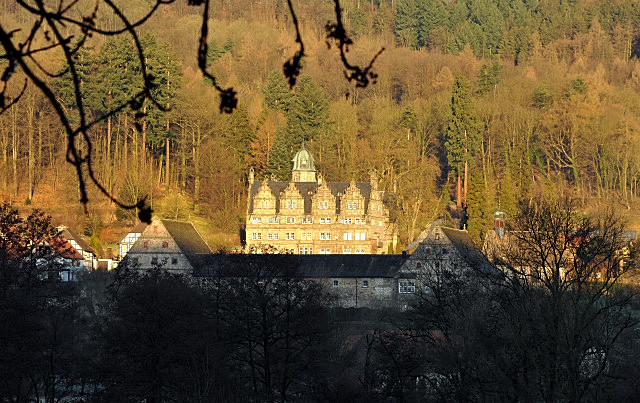 Trakehner Gestt Hmelschenburg