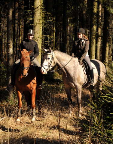 Rivergold v. Freudenfest und Tilly v. Leonidas - Trakehner Gestt Hmelschenburg