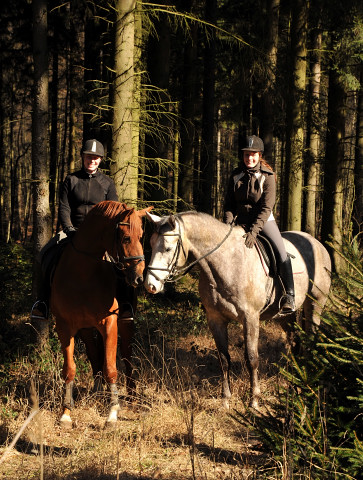 Rivergold v. Freudenfest und Tilly v. Leonidas - Trakehner Gestt Hmelschenburg