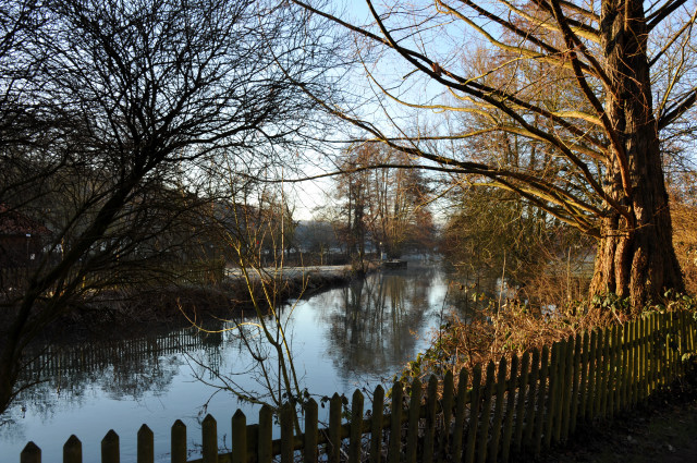 Trakehner Gestt Hmelschenburg