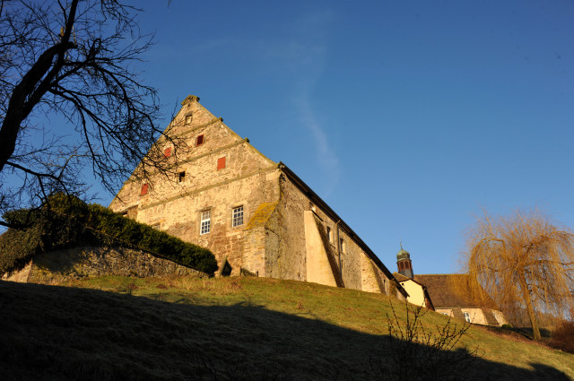 Trakehner Gestt Hmelschenburg