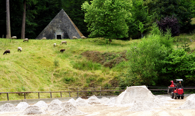 5. Juli 2016 - Trakehner Gestt Hmelschenburg - Beate Langels