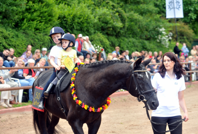 Kostolany - Foto: Beate Langels - Trakehner Gestt Hmelschenburg