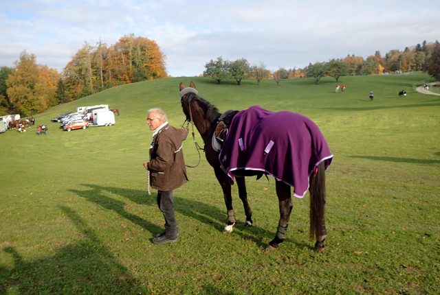  - Trakehner Gestt Hmelschenburg - Beate Langels