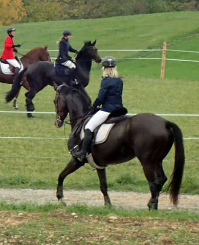  - Trakehner Gestt Hmelschenburg - Beate Langels