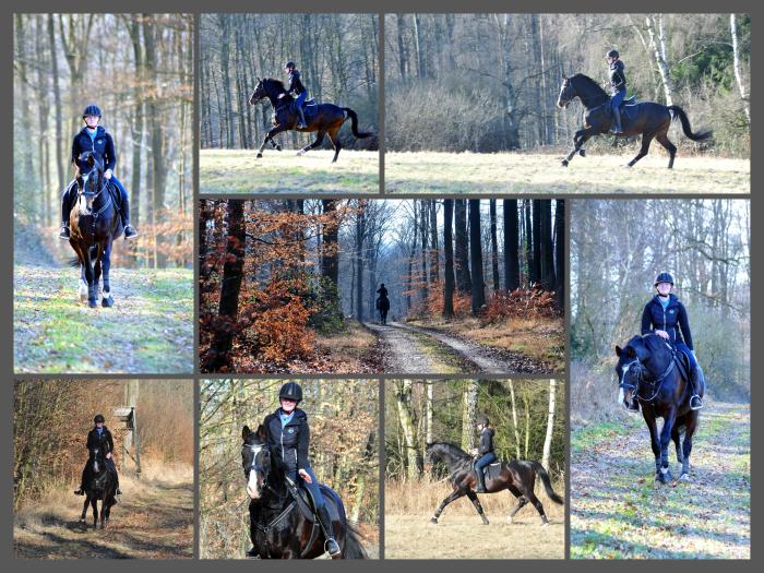 Shavalou und Johanna am 6. März Hämelschenburg im März 2025 - Trakehner Gestüt Hämelschenburg