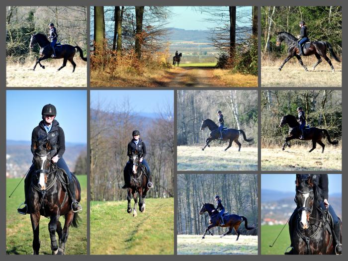Shavalou und Johanna am 6. März Hämelschenburg im März 2025 - Trakehner Gestüt Hämelschenburg