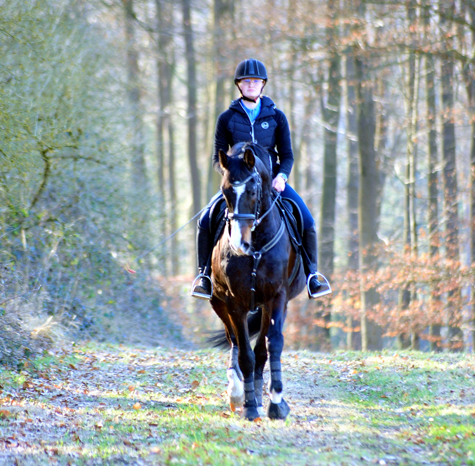 Shavalou und Johanna am 6. März Hämelschenburg im März 2025 - Trakehner Gestüt Hämelschenburg