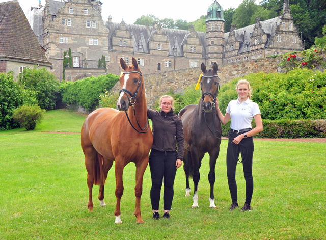 Klassic Motion u. Val d'Isere v. High Motion - Foto: Beate Langels - Trakehner Gestt Hmelschenburg