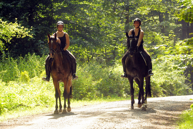 Kurz angeritten - Gestt Hmelschenburg, Foto: Beate Langels, 
Trakehner Gestt Hmelschenburg - Beate Langels
