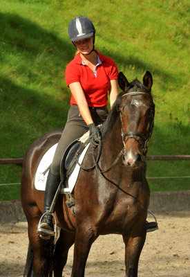 6. September 2011 - Foto: Beate Langels - Trakehner Gestt Hmelschenburg