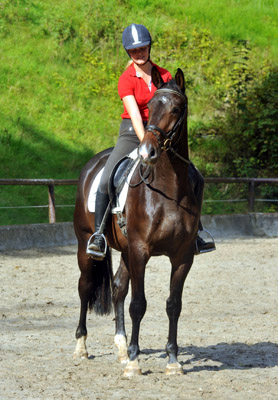 6. September 2011 - Foto: Beate Langels - Trakehner Gestt Hmelschenburg