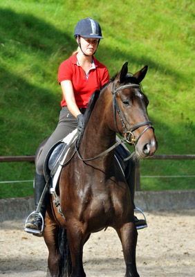 6. September 2011 - Foto: Beate Langels - Trakehner Gestt Hmelschenburg