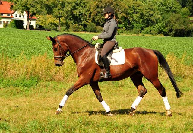 Schwalbenland - Trakehner Gestt Hmelschenburg - Beate Langels