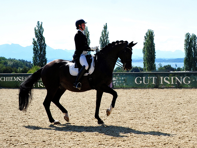 Piaff Frder Pris in Ising  2020 - Seal von Gribaldi u.d. Elitestute Schwalbenspiel v. Exclusiv - Foto: Beate Langels - 
Trakehner Gestt Hmelschenburg