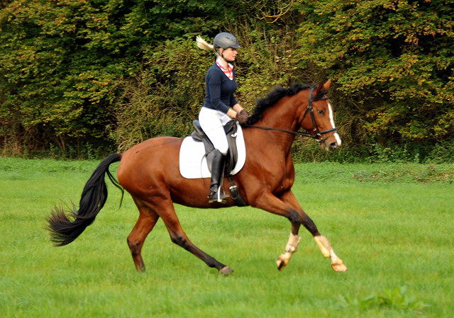 Trakehner Stute Schwalbenpoesie von Exclusiv u.d. Schwalbenfee v. Freudenfest, Foto Beate Langels