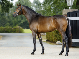 His Moment v. Millenium - Le Ruge - Foto Guido Recki