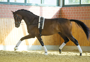 His Moment v. Millenium - Le Ruge - Foto Guido Recki