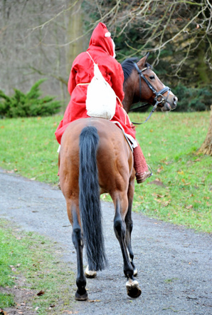 Der Nikolaus und Freudenfest im Trakehner Gestt Hmelschenburg - Foto: Beate Langels