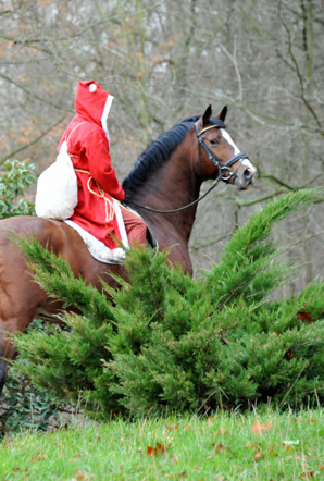 Der Nikolaus und Freudenfest im Trakehner Gestt Hmelschenburg - Foto: Beate Langels