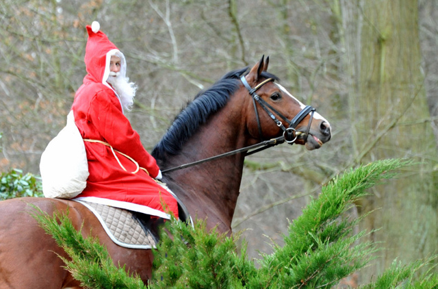 Der Nikolaus und Freudenfest im Trakehner Gestt Hmelschenburg - Foto: Beate Langels