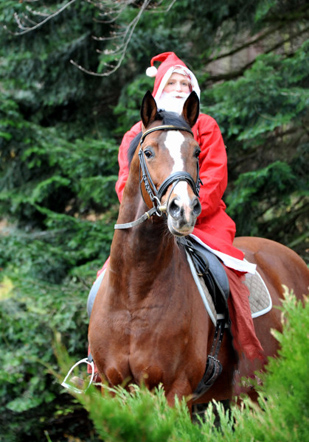Der Nikolaus und Freudenfest im Trakehner Gestt Hmelschenburg - Foto: Beate Langels