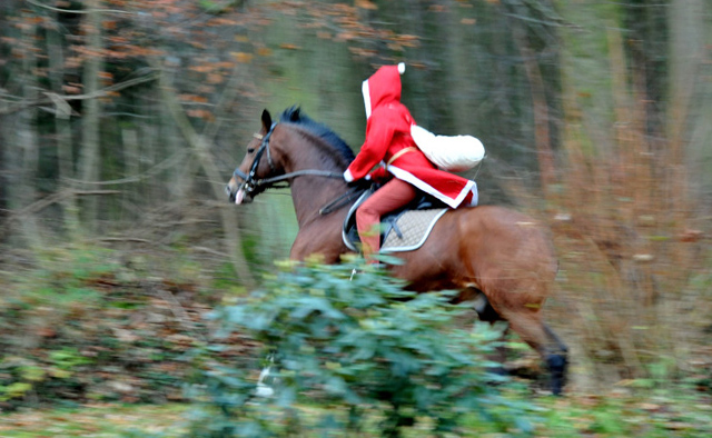 Der Nikolaus und Freudenfest im Trakehner Gestt Hmelschenburg - Foto: Beate Langels