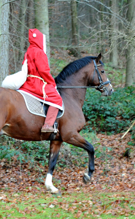 Der Nikolaus und Freudenfest im Trakehner Gestt Hmelschenburg - Foto: Beate Langels