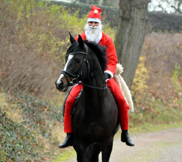 Der Nikolaus und Saint Cyr im Trakehner Gestt Hmelschenburg - Foto: Beate Langels