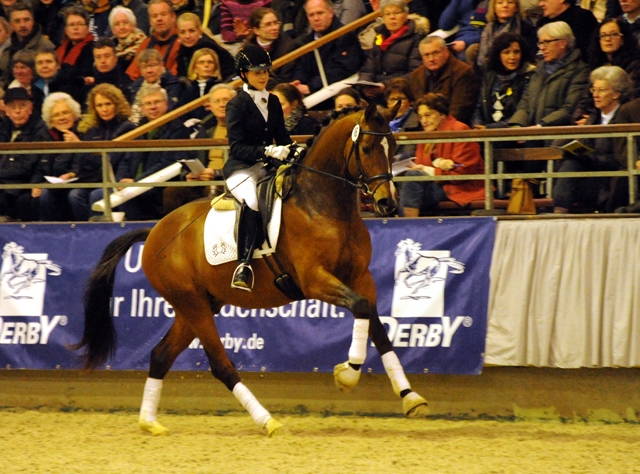 High Motion v.  Saint Cyr v. Kostolany - Foto: Beate Langels - Trakehner Gestt Hmelschenburg