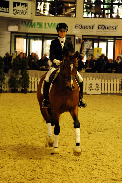 High Motion v.  Saint Cyr v. Kostolany - Foto: Beate Langels - Trakehner Gestt Hmelschenburg