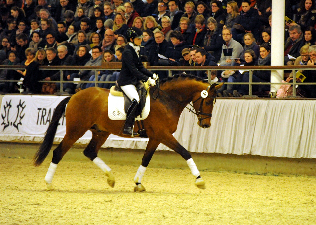 High Motion v.  Saint Cyr v. Kostolany - Foto: Beate Langels - Trakehner Gestt Hmelschenburg