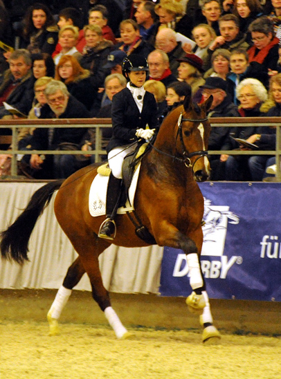 High Motion v.  Saint Cyr v. Kostolany - Foto: Beate Langels - Trakehner Gestt Hmelschenburg