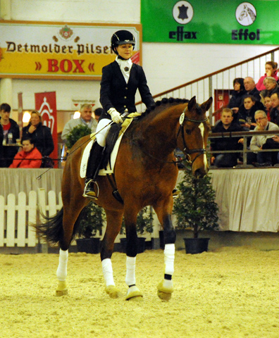 High Motion v.  Saint Cyr v. Kostolany - Foto: Beate Langels - Trakehner Gestt Hmelschenburg