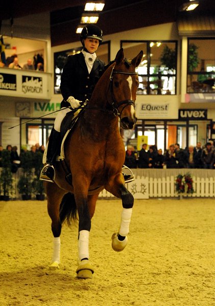 High Motion v.  Saint Cyr v. Kostolany - Foto: Beate Langels - Trakehner Gestt Hmelschenburg