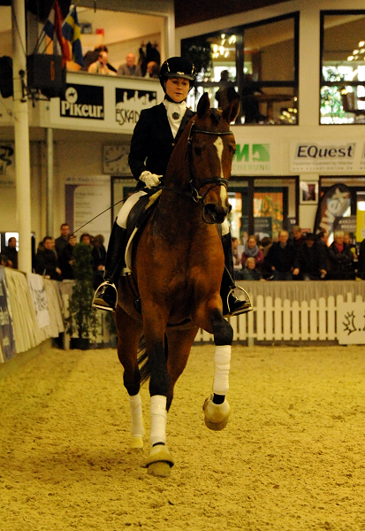 High Motion v.  Saint Cyr v. Kostolany - Foto: Beate Langels - Trakehner Gestt Hmelschenburg